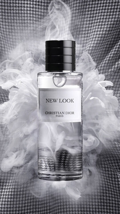 Gris Dior (La Collection Privée)